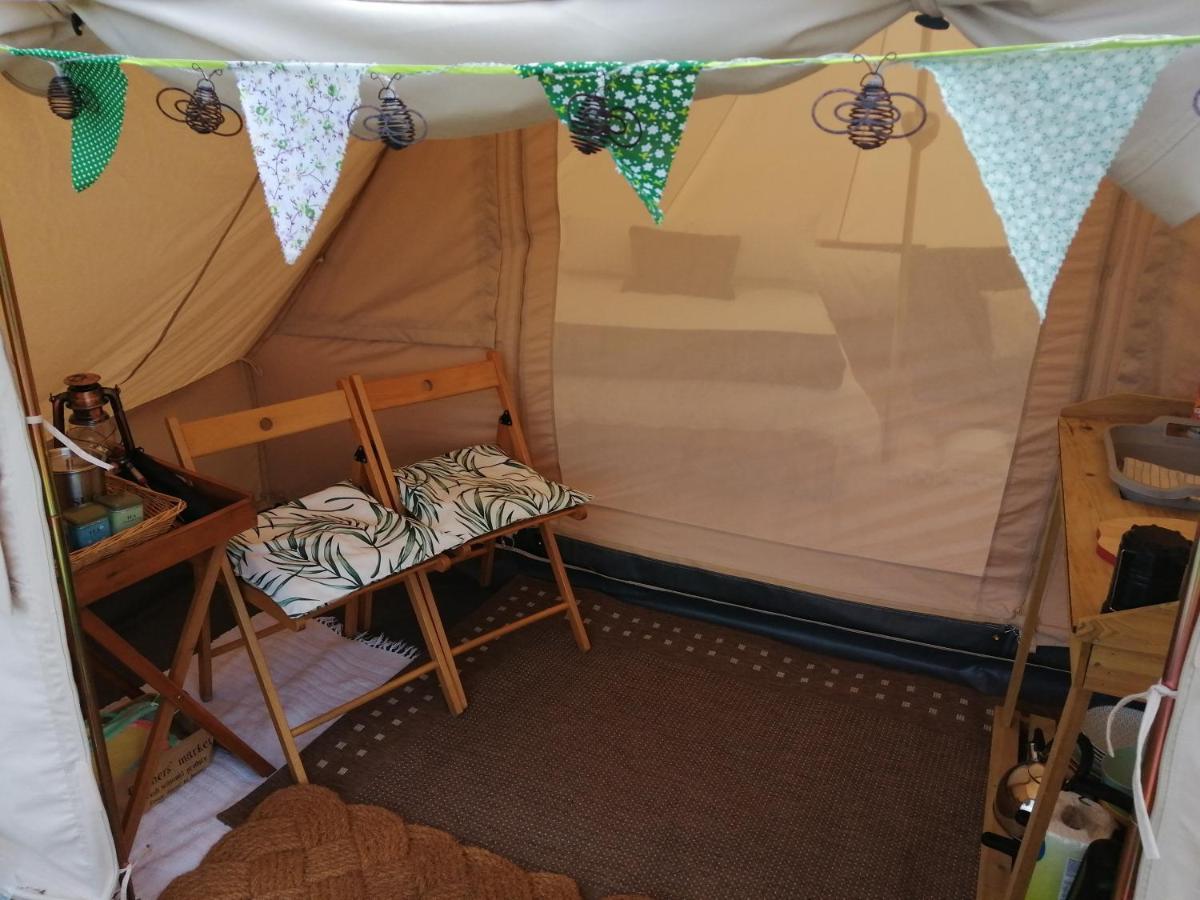 Coed Y Brenin Retreat - Bell Tent Glamping Near Aberaeron Ciliau-Aeron Extérieur photo