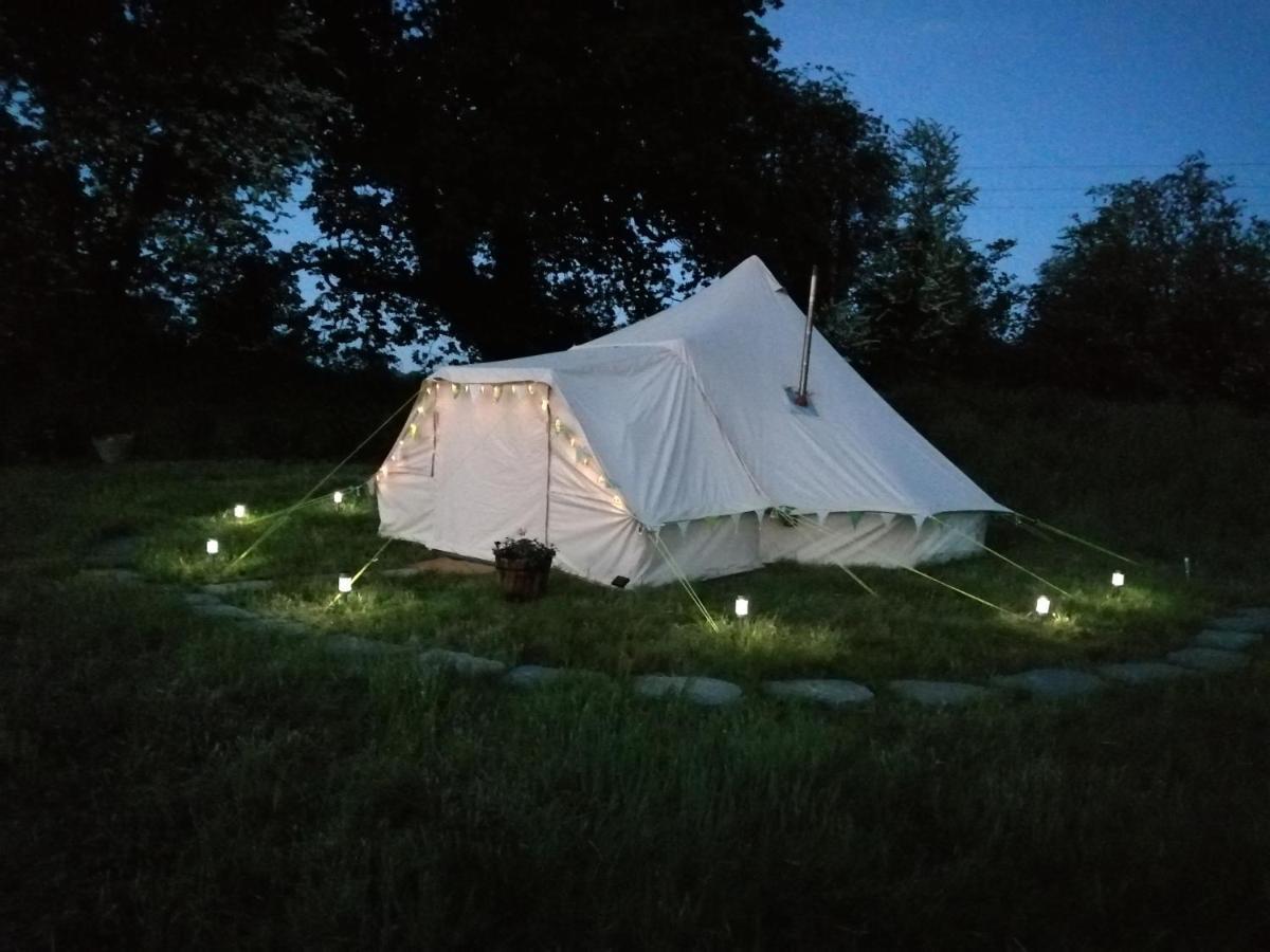 Coed Y Brenin Retreat - Bell Tent Glamping Near Aberaeron Ciliau-Aeron Extérieur photo