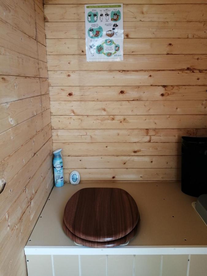 Coed Y Brenin Retreat - Bell Tent Glamping Near Aberaeron Ciliau-Aeron Extérieur photo
