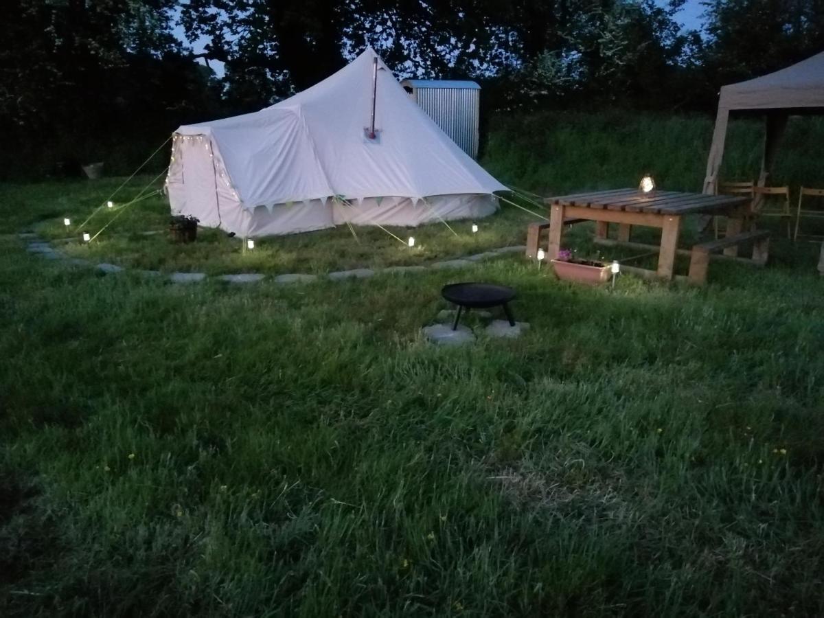 Coed Y Brenin Retreat - Bell Tent Glamping Near Aberaeron Ciliau-Aeron Extérieur photo
